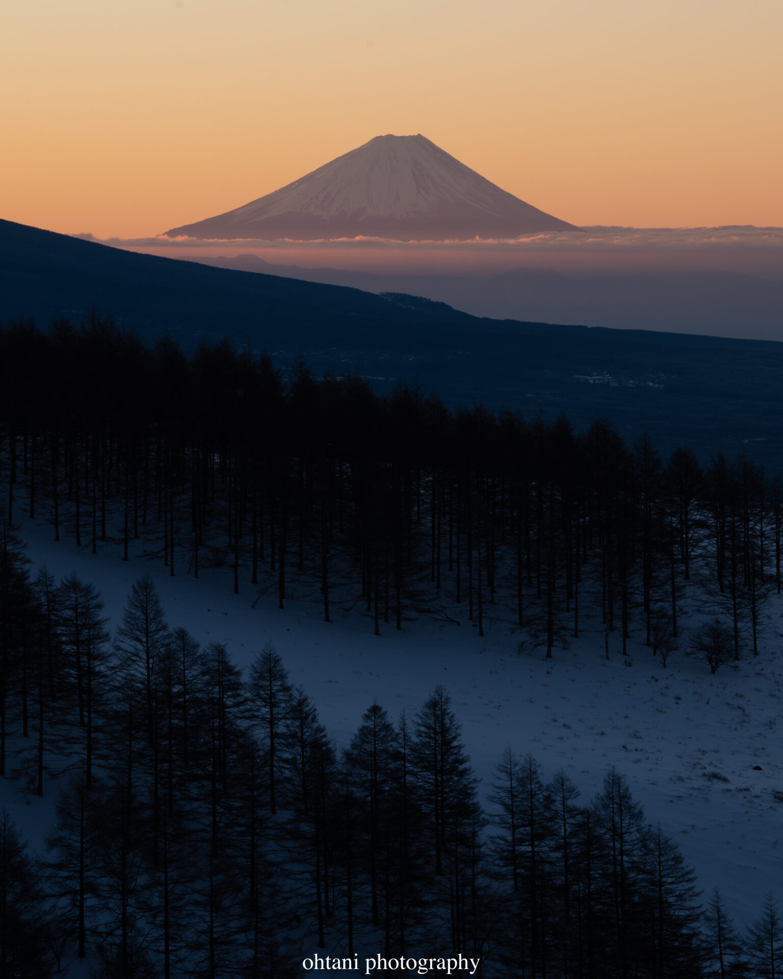 ビーナスラインからの富士山