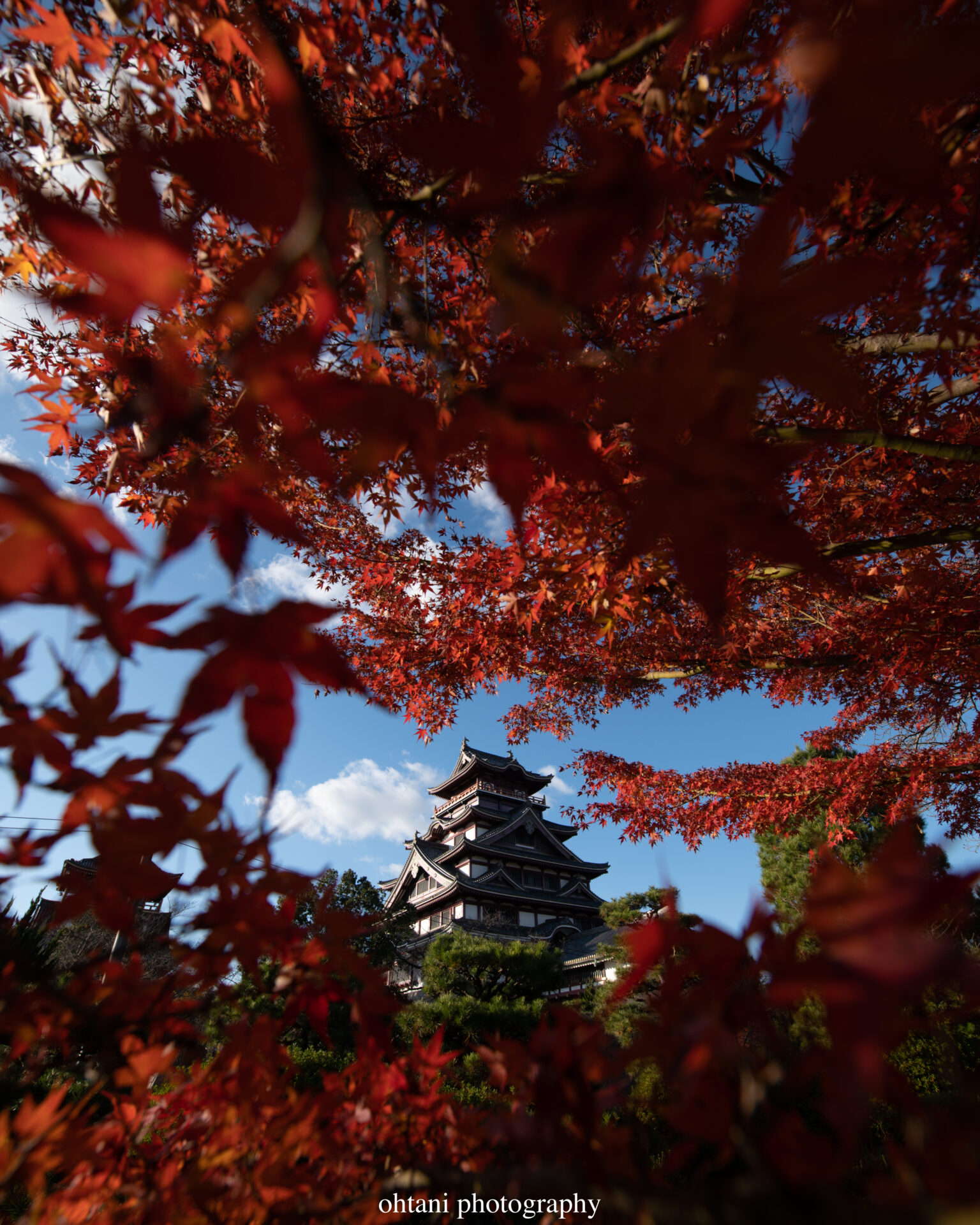 秋の伏見桃山城