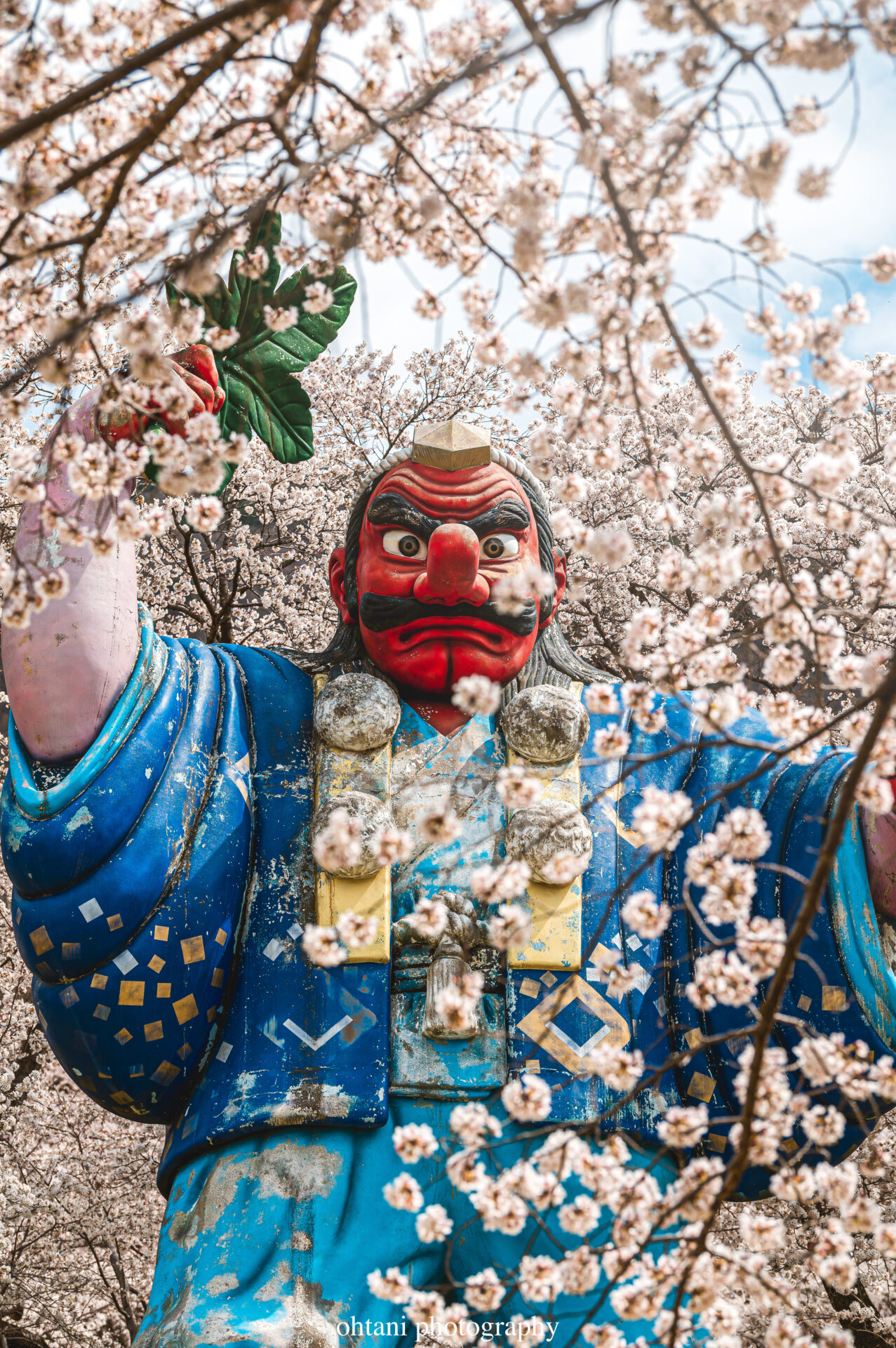 桜にまみれた大天狗