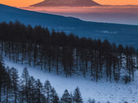 ビーナスラインからの富士山