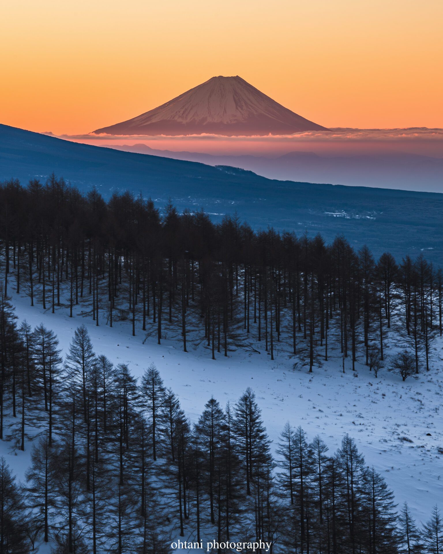 ビーナスラインからの富士山