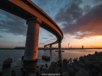 いなばポートライン