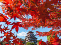 秋の伏見桃山城
