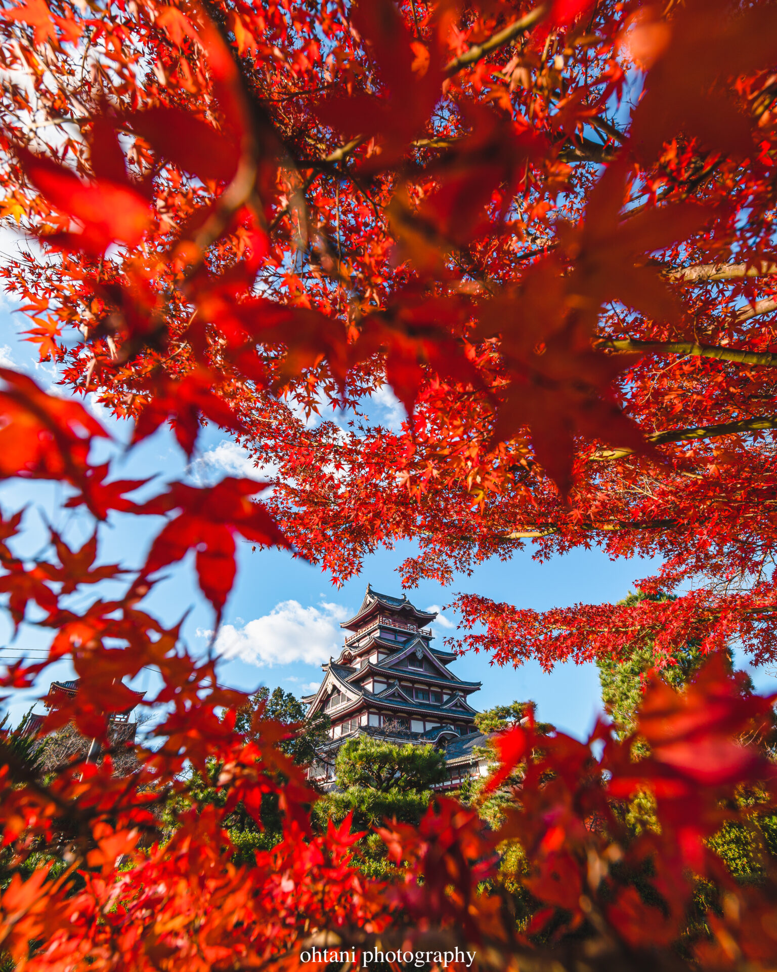 秋の伏見桃山城