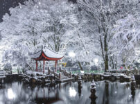 雪の日中友好庭園